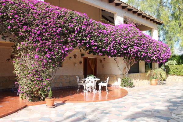 Villa - Sale - Alfaz del Pí - El Albir