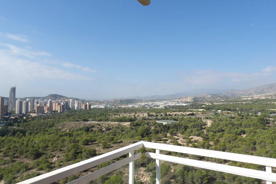 Long time Rental - Apartment/Flat - Benidorm - Poniente