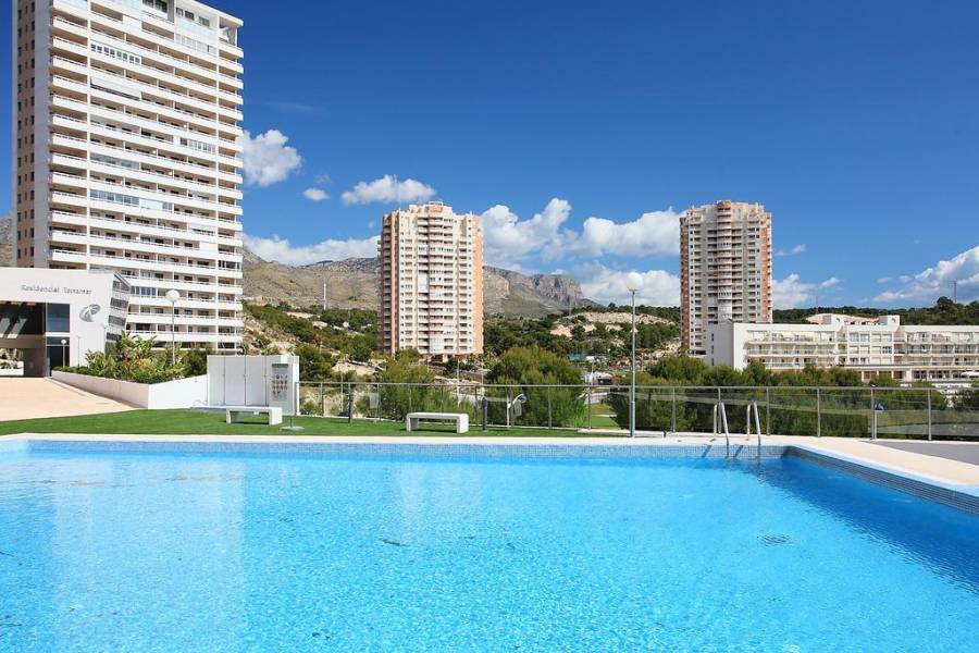 Long time Rental - Apartment/Flat - Benidorm - Poniente