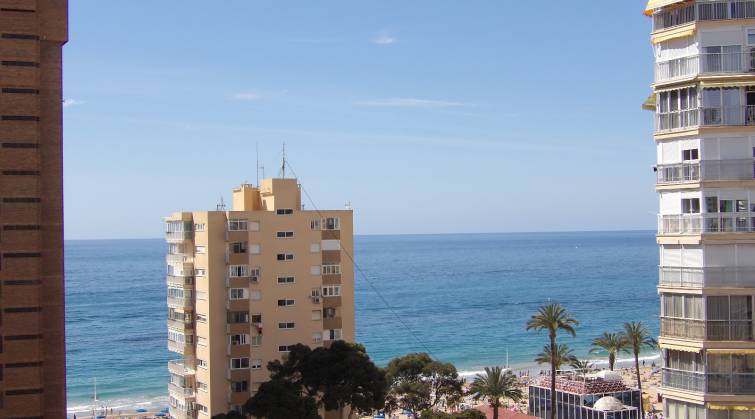 Apartamento/Piso - Venta - Benidorm - Centro