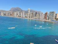 Short Rental - Apartment/Flat - Benidorm - Rincón de Loix