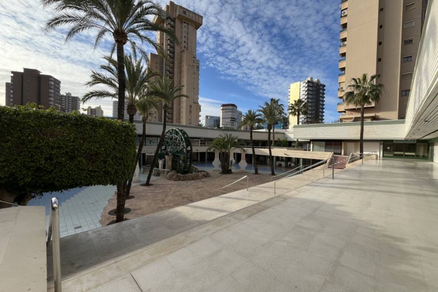 Venta - Local - Benidorm - Levante