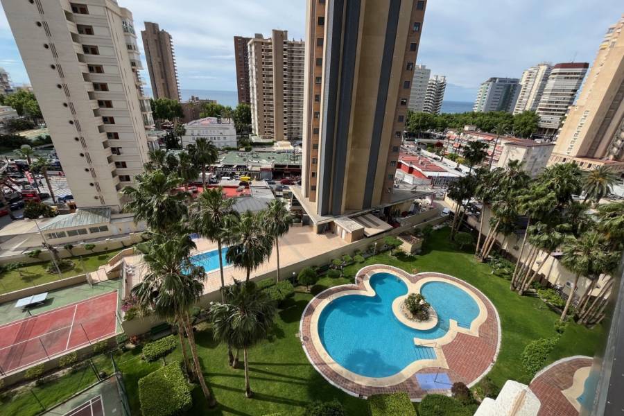 Venta - Apartamento/Piso - Benidorm - Levante