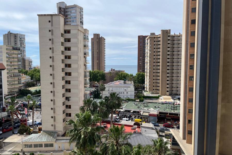 Venta - Apartamento/Piso - Benidorm - Levante
