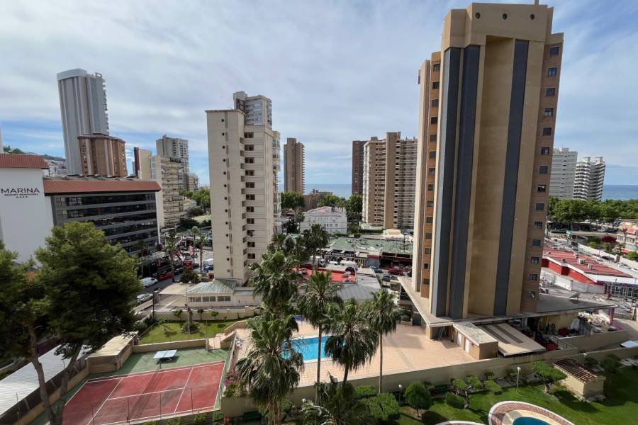 Venta - Apartamento/Piso - Benidorm - Levante