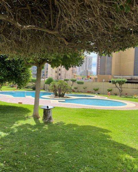 Venta - Apartamento/Piso - Benidorm - Levante