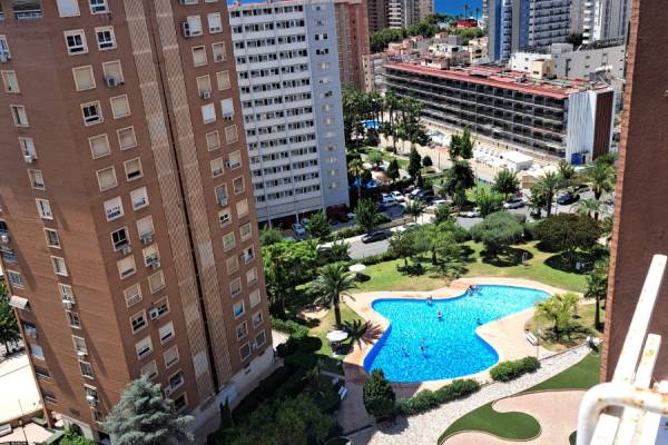 Apartamento/Piso - Venta - Benidorm - Levante