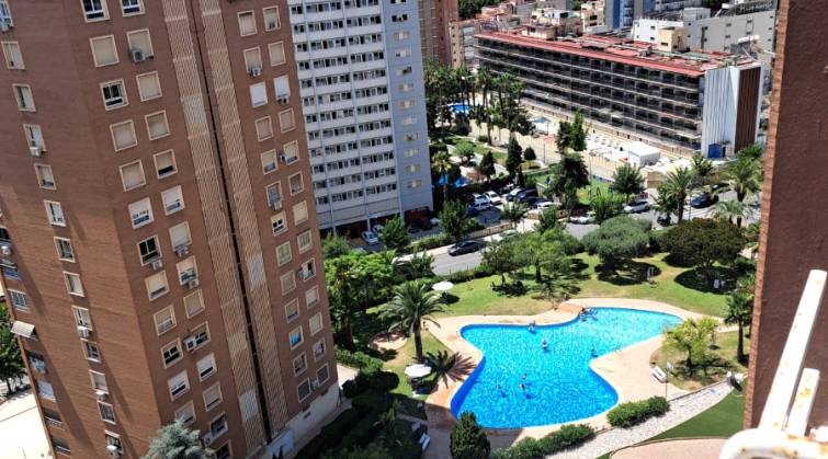 Apartamento/Piso - Venta - Benidorm - Levante