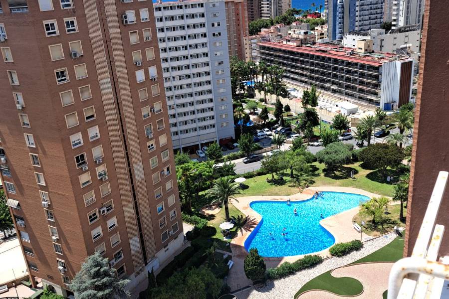 Venta - Apartamento/Piso - Benidorm - Levante
