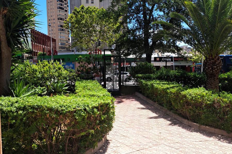 Venta - Apartamento/Piso - Benidorm - Levante