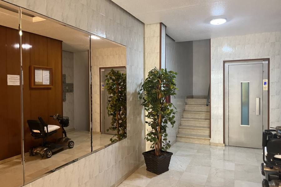 Venta - Apartamento/Piso - Benidorm - Centro