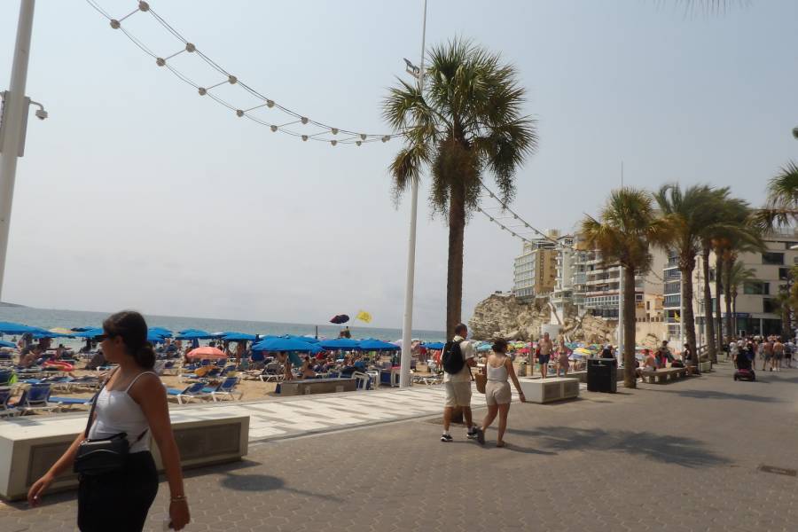 Venta - Apartamento/Piso - Benidorm - Levante