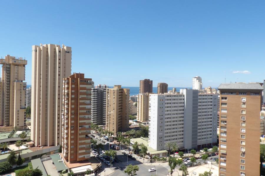 Alq. Corto Plazo - Apartamento/Piso - Benidorm - Levante