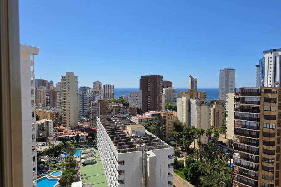 Sale - Apartment/Flat - Benidorm - Centro