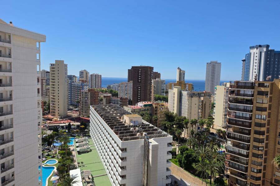 Sale - Apartment/Flat - Benidorm - Centro