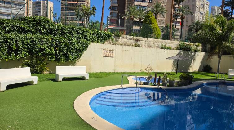 Apartamento/Piso - Venta - Benidorm - Centro