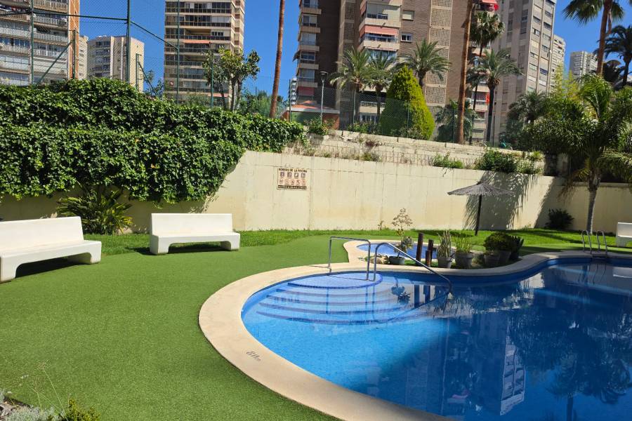 Sale - Apartment/Flat - Benidorm - Centro