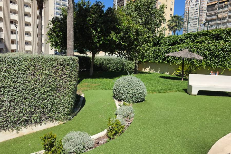 Sale - Apartment/Flat - Benidorm - Centro
