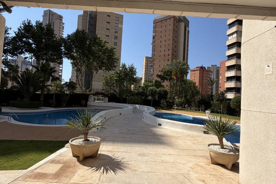 Alq. Corto Plazo - Apartamento/Piso - Benidorm - Levante