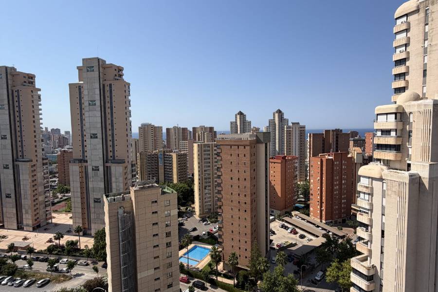 Alq. Corto Plazo - Apartamento/Piso - Benidorm - Levante