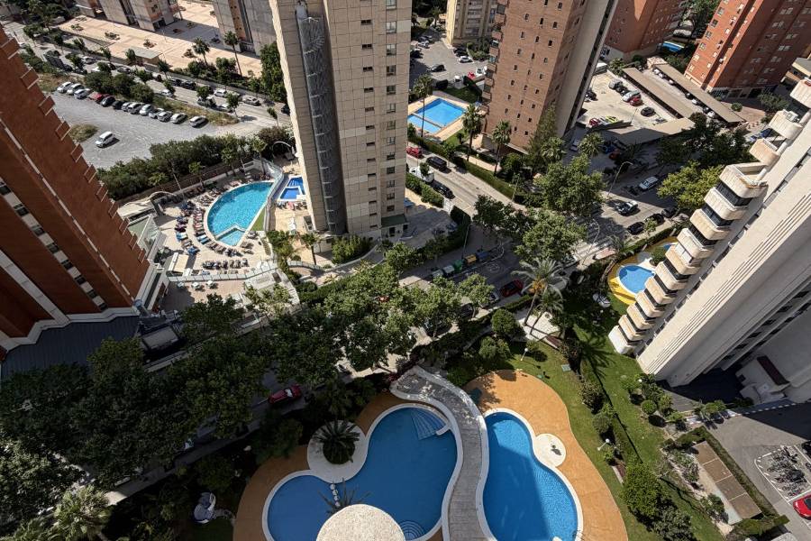 Alq. Corto Plazo - Apartamento/Piso - Benidorm - Levante