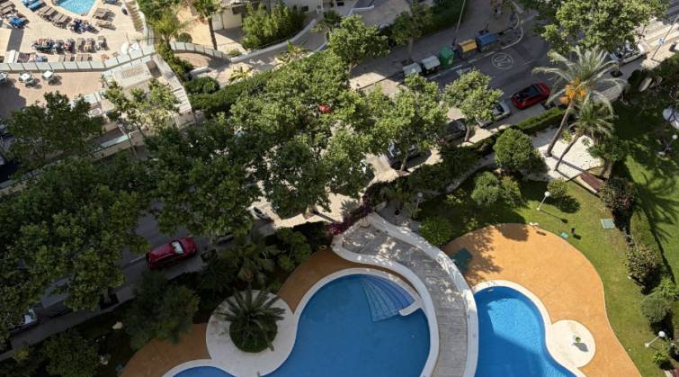 Apartamento/Piso - Alq. Corto Plazo - Benidorm - Levante