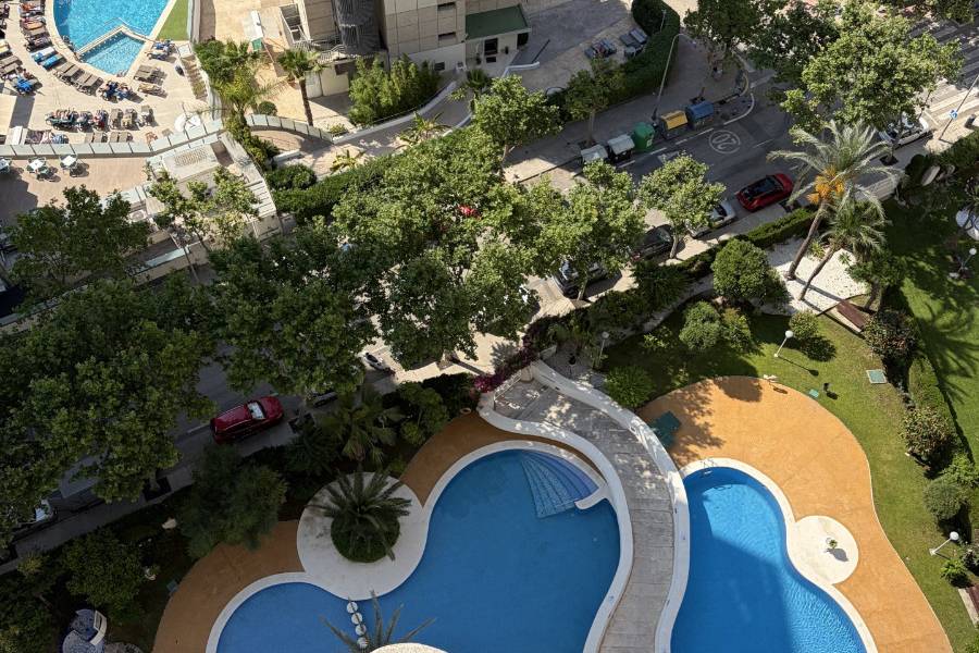 Alq. Corto Plazo - Apartamento/Piso - Benidorm - Levante