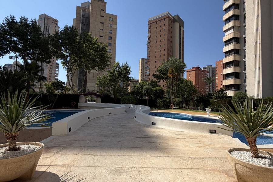 Alq. Corto Plazo - Apartamento/Piso - Benidorm - Levante