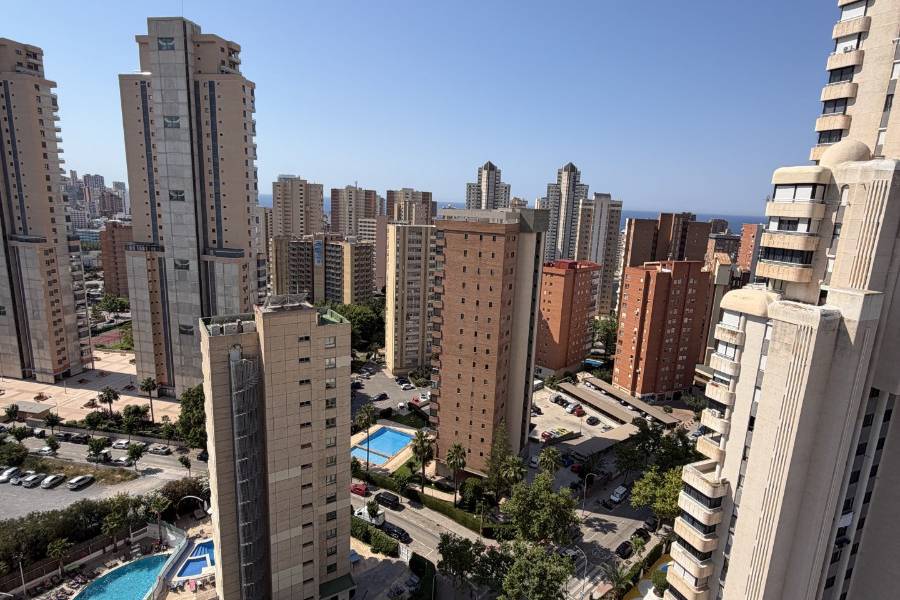 Alq. Corto Plazo - Apartamento/Piso - Benidorm - Levante