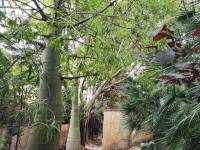 Sale - Villa - Benidorm - Rincón de Loix