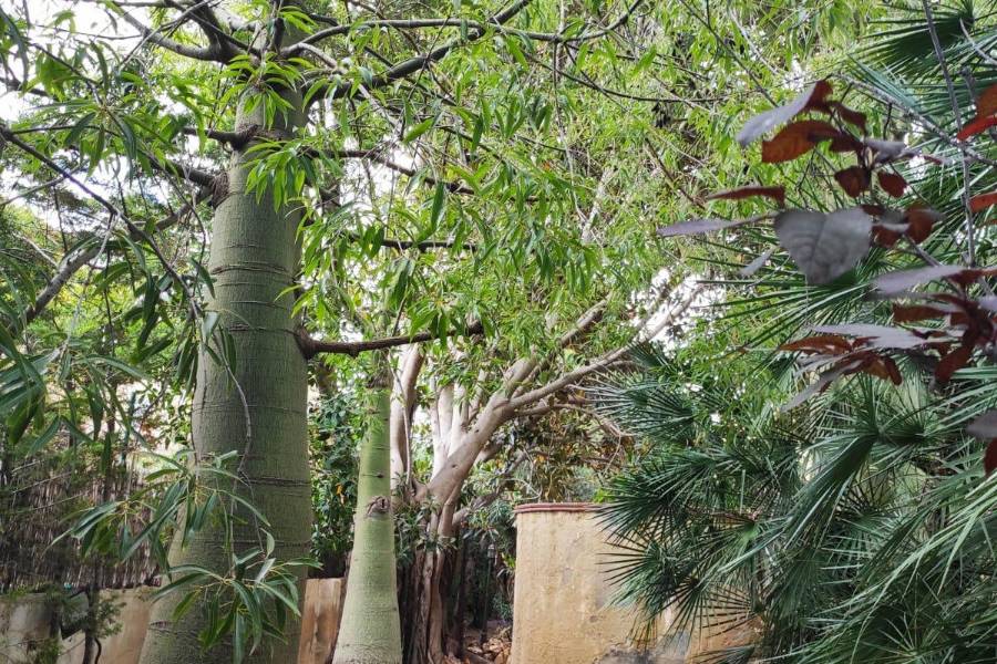Sale - Villa - Benidorm - Rincón de Loix