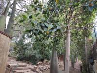 Sale - Villa - Benidorm - Rincón de Loix