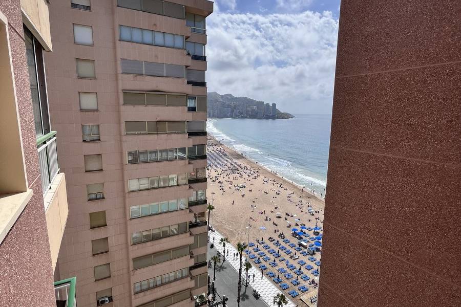 Alq. Corto Plazo - Apartamento/Piso - Benidorm - Levante