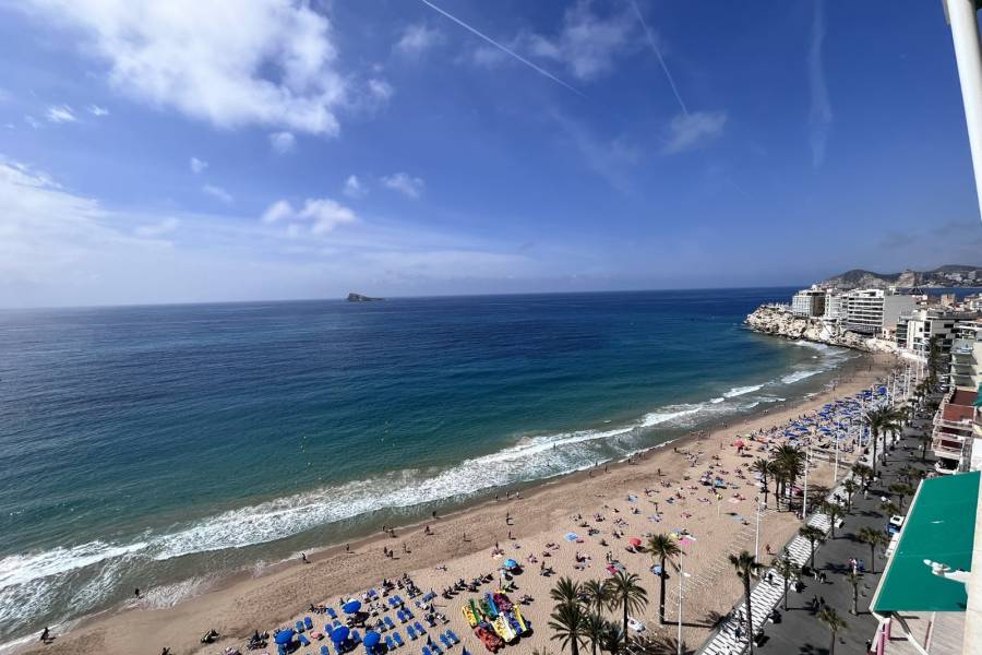 Alq. Corto Plazo - Apartamento/Piso - Benidorm - Levante