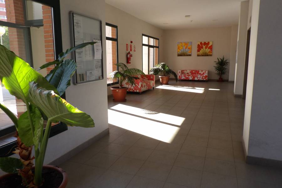 Venta - Apartamento/Piso - Benidorm - Levante