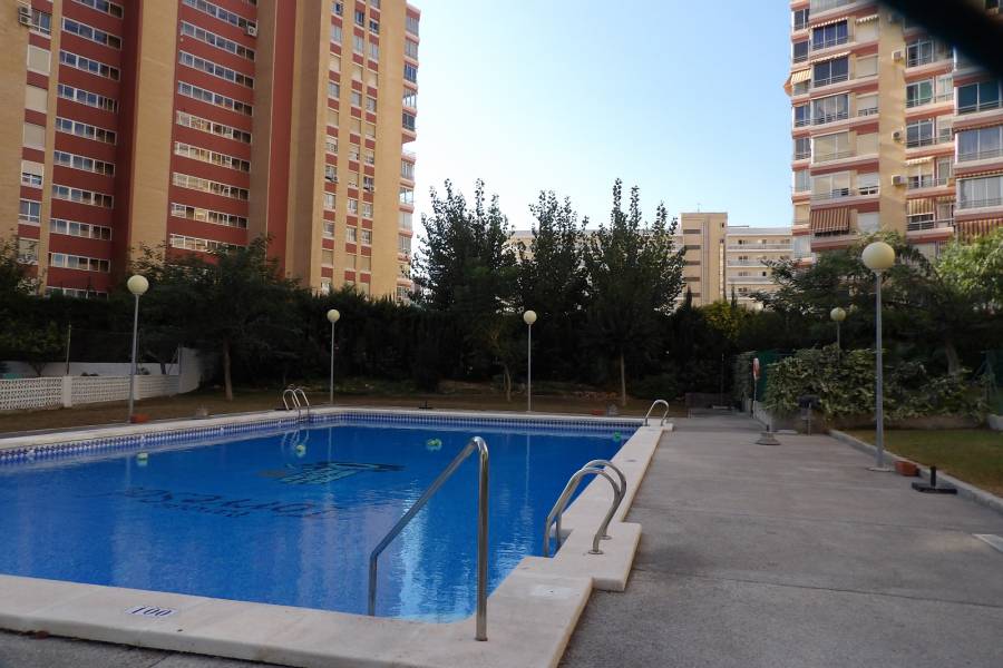 Venta - Apartamento/Piso - Benidorm - Levante