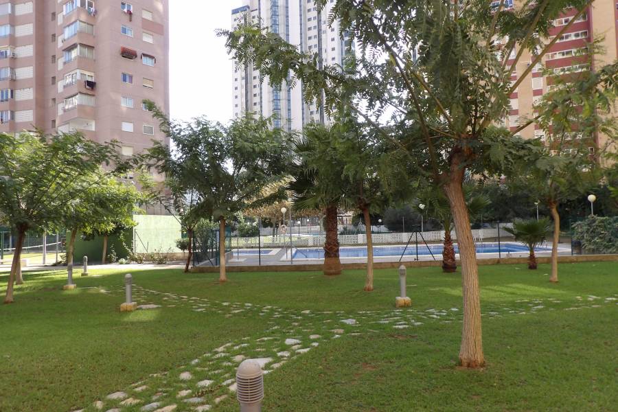 Venta - Apartamento/Piso - Benidorm - Levante