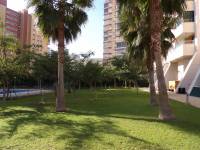 Venta - Apartamento/Piso - Benidorm - Levante