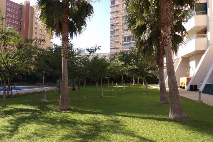 Venta - Apartamento/Piso - Benidorm - Levante