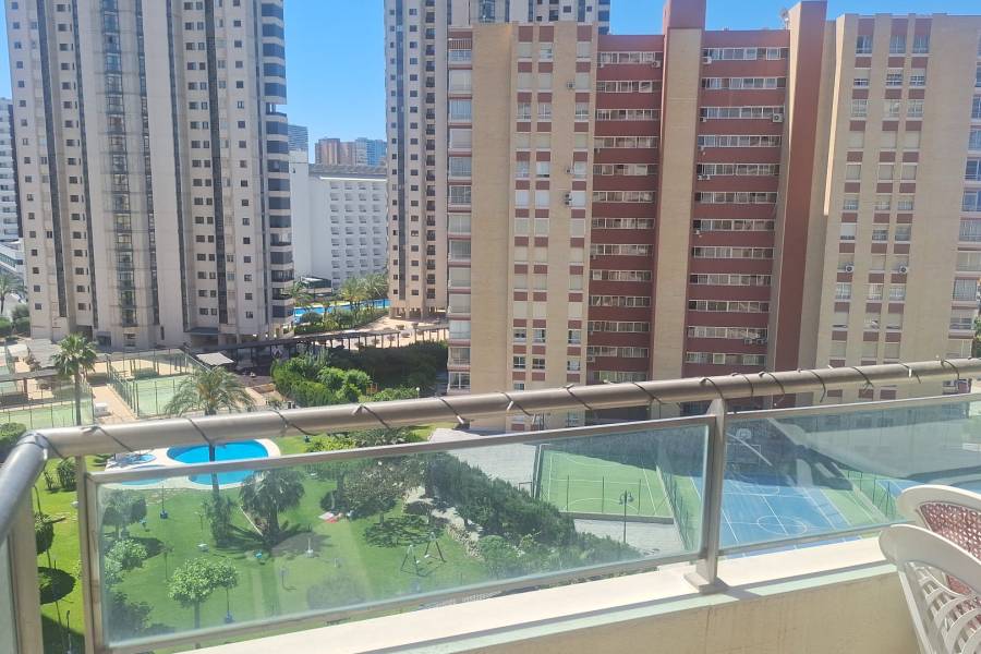 Venta - Apartamento/Piso - Benidorm - Levante