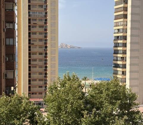 Apartamento/Piso - Venta - Benidorm - Levante
