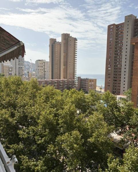 Venta - Apartamento/Piso - Benidorm - Levante